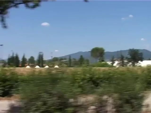 Take This Dick and Run